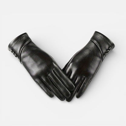 Old Albion | Women’s Genuine Leather Glove Set